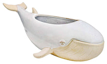Load image into Gallery viewer, Sprouter Whale Planter