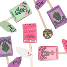 Load image into Gallery viewer, Garden + Gift Seed Planting Pop Collection With Stand