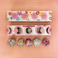 Load image into Gallery viewer, Moon Phase Wild Flower Seed Planting Set