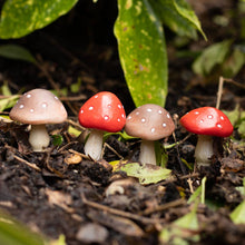 Load image into Gallery viewer, Set of 4 Mini Mushroom Plant Pot Pals
