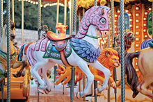 Load image into Gallery viewer, Carousel