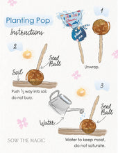 Load image into Gallery viewer, Garden + Gift Seed Planting Pop Collection With Stand
