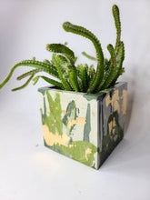Load image into Gallery viewer, Quinn Square Colored Concrete Planter Vessel | Gold Leaf Pot: Maroon pink white and rose gold / Regular