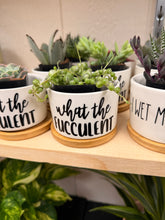Load image into Gallery viewer, Mini Succulent Planter: What the fucculent