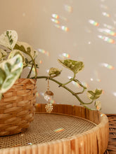 Load image into Gallery viewer, Plant Charm | Sun Catcher + Monstera Leaf | Vine Accessory