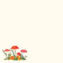 Load image into Gallery viewer, Mushrooms Desk Notes
