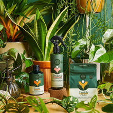 Load image into Gallery viewer, Houseplant Care Essentials Organic Starter Kit