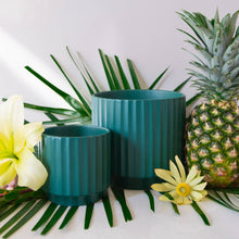 Load image into Gallery viewer, Monroe Planter | Rainforest: 4.5 inch
