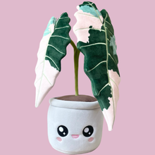 Load image into Gallery viewer, Variegated Alocasia Amazonica Plushie
