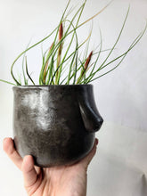 Load image into Gallery viewer, Concrete Lady Boob Pot Drain hole | Breast | Airplant Nipple: Green dark green ash and gold foil / No drain hole
