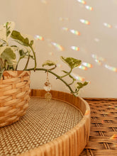 Load image into Gallery viewer, Plant Charm | Sun Catcher + Monstera Leaf | Vine Accessory
