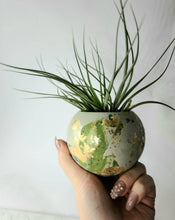 Load image into Gallery viewer, Quinn Square Colored Concrete Planter Vessel | Gold Leaf Pot: Green dark green tan and gold / Regular
