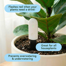 Load image into Gallery viewer, Soil Moisture Meter For Houseplants
