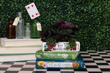 Load image into Gallery viewer, Stacked Books Planter, Alice/Wind in the Willows/The Secret
