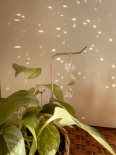 Load image into Gallery viewer, Plant Stake | Suncatcher + Moon Charm | Houseplant Accessory
