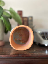 Load image into Gallery viewer, Booty Planter: Multi-Colored
