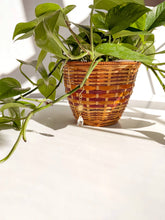Load image into Gallery viewer, Plant Charm | Suncatcher + Sun | Houseplant Accessories
