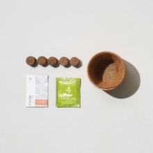 Load image into Gallery viewer, Tiny Terracotta Grow Kit: Good Luck Clover
