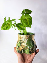 Load image into Gallery viewer, Green Concrete Lady Booty Pot | Butt Planter | Drain hole
