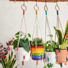 Load image into Gallery viewer, Color Block Plant Hangers, Handmade Macrame Plant Accessory: Set of 3: Mystic Combo
