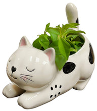 Load image into Gallery viewer, Raise Your Bum Kitty Planter
