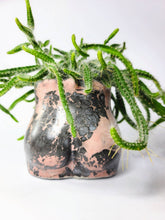 Load image into Gallery viewer, Concrete Lady Booty Pot | Butt Cheek Planter | Drain hole: Green/dark green/ gold
