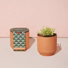 Load image into Gallery viewer, Tiny Terracotta Grow Kit: Good Luck Clover
