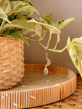 Load image into Gallery viewer, Plant Charm | Suncatcher + Moon | Houseplant Vine Jewelry 
