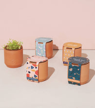 Load image into Gallery viewer, Tiny Terracotta Grow Kit: Good Luck Clover
