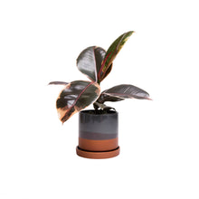 Load image into Gallery viewer, Minute Ceramic Planter Indoors  5 Inch Clay Terracotta Pot: Terracotta / 5"
