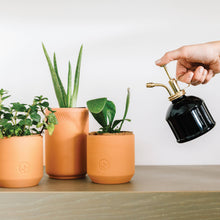 Load image into Gallery viewer, Tiny Terracotta Grow Kit: Live Well Lavender
