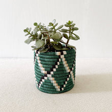 Load image into Gallery viewer, Storage Plant Basket (Set of 3): Kasuga
