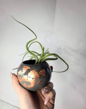 Load image into Gallery viewer, Quinn Square Colored Concrete Planter Vessel | Gold Leaf Pot: Pink navy white and rose gold / Regular
