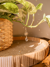 Load image into Gallery viewer, Plant Charm | Suncatcher + Sun | Houseplant Accessories
