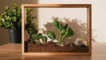 Load image into Gallery viewer, Vertical Garden
