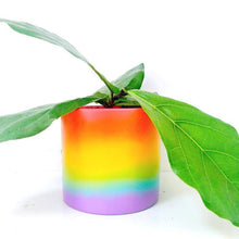 Load image into Gallery viewer, Rainbow Gradient Cement Planter: Traditional / XL
