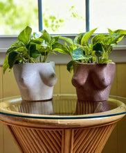 Load image into Gallery viewer, LARGE MILADY PLANTER: Multi-Colored
