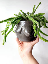 Load image into Gallery viewer, Concrete Lady Boob Pot Drain hole | Breast | Airplant Nipple: Navy/pink/rose gold foil / No drain hole
