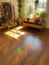 Load image into Gallery viewer, Moth Suncatcher Window Decal
