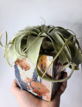 Load image into Gallery viewer, Quinn Square Colored Concrete Planter Vessel | Gold Leaf Pot: Green dark green tan and gold / Regular
