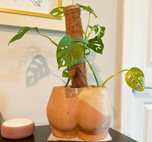Load image into Gallery viewer, Large Booty Planter : Color layers ( we pick unless you specify)
