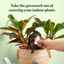 Load image into Gallery viewer, Soil Moisture Meter For Houseplants

