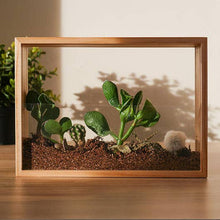 Load image into Gallery viewer, Vertical Garden
