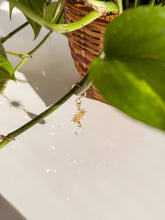 Load image into Gallery viewer, Plant Charm | Suncatcher + Sun | Houseplant Accessories
