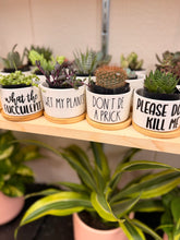 Load image into Gallery viewer, Mini Succulent Planter: Please Don't Kill Me
