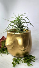 Load image into Gallery viewer, Concrete Lady Boob Pot Drain hole | Breast | Airplant Nipple: Black and pink crackle / No drain hole
