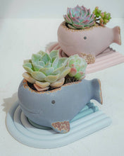 Load image into Gallery viewer, Whale Family - 3 color

