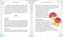 Load image into Gallery viewer, Mushroom Magick by Shawn Engel
