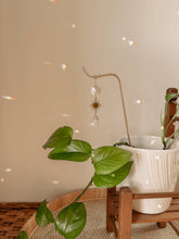 Load image into Gallery viewer, Plant Stake | Suncatcher + Sun Charm | Houseplant Accessory
