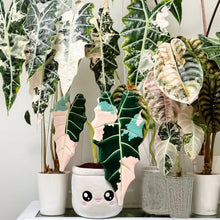 Load image into Gallery viewer, Variegated Alocasia Amazonica Plushie
